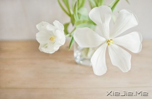 簲Zڄe˵ʧԼ· (8)