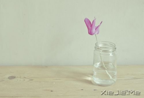 簲Zڄe˵ʧԼ· (9)