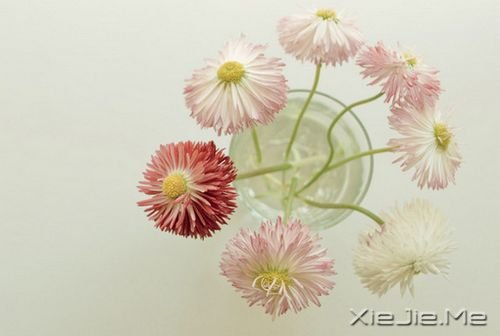 簲Zڄe˵ʧԼ· (10)