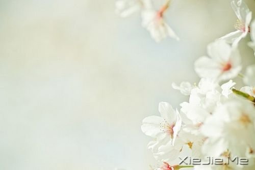 簲Z(y)Ո(qng)eҵס (5)