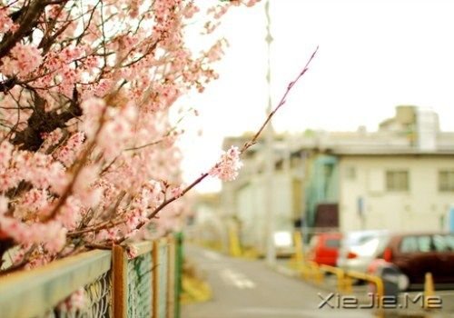 簲Z(y)Ո(qng)eҵģס (6)