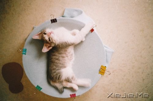 Z(y)ЩԒmϠ (10)