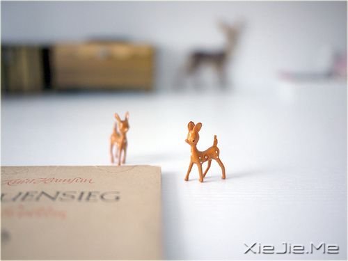 簲ZxһNˑB(ti)׌Լßo (5)