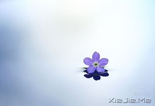 簲ZxһNˑB(ti)׌Լßo (6)
