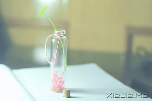簲Z@ô^ý (3)