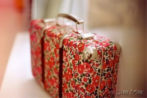 簲ZЩֻm˼ (2)