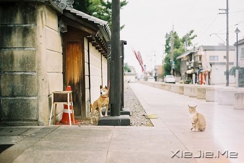 ZҵԸǣһX˯Сr (2)