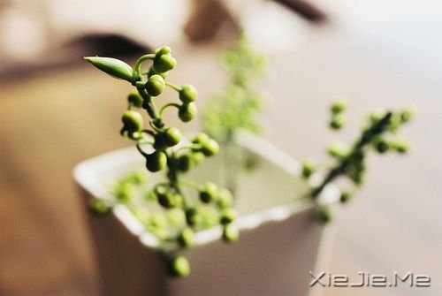ZҵԸһX˯Сr (7)
