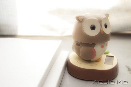 簲Zֻ󺆆 (1)
