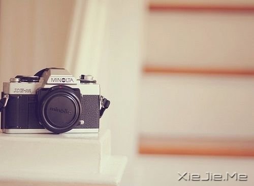 簲Zֻ󺆆 (5)