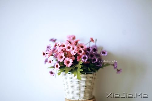 ZЦȫЦ (1)