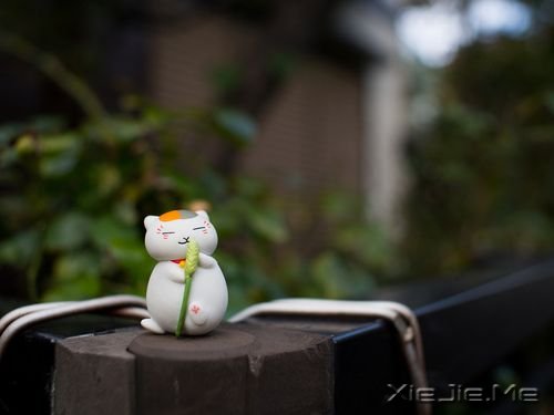 簲ZഺһAһNľ (10)