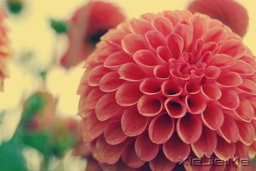 簲Z]ЗϢĵطﶼ (5)