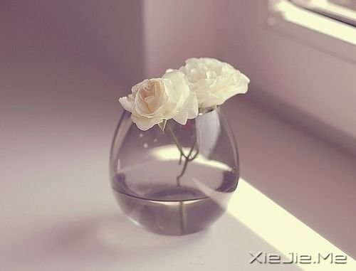 簲Z̫ȥЩõ (3)