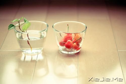 簲Z̫ȥЩõ (5)