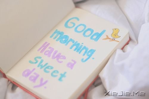 ZһT_ (5)