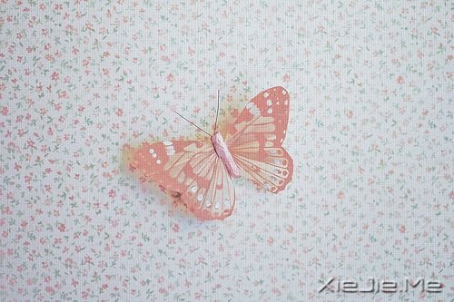 ZҪfıMµۜI (1)