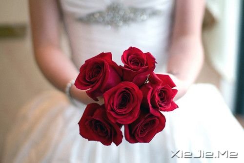 簲Z(jin)סĈ(jin)ɹڹՏ̎ (3)