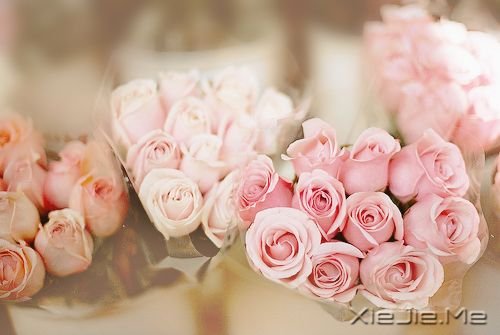 簲Zh(yun)泯ꖹ⣬Ӱ͕(hu)˦ (4)