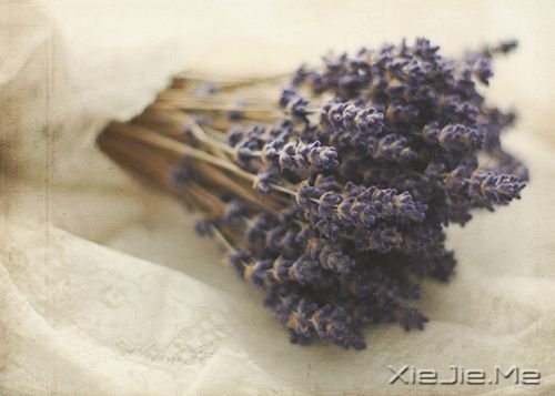 Z(y)(dng)W(xu)(hu)ϧԼŕ(hu)ϧ (3)