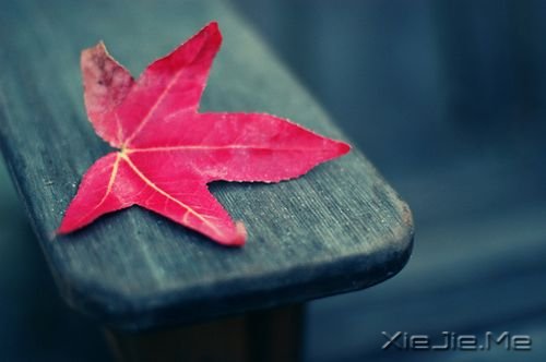 ZڴʹĸԴ (1)