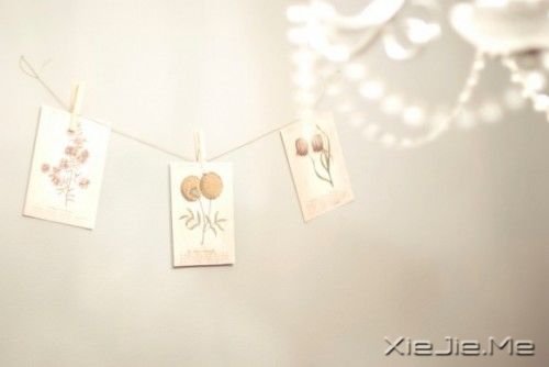 ZڴʹĸԴ (5)