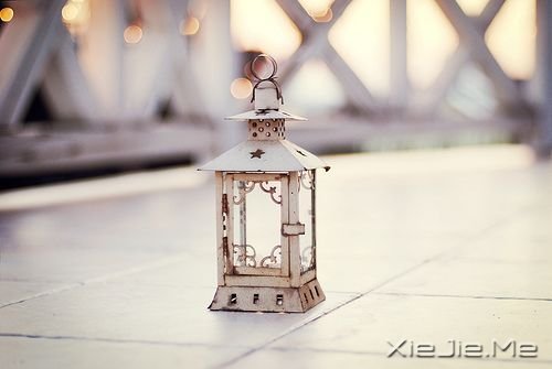 Z(y)(dng)W(xu)(hu)ϧԼŕ(hu)ϧ (8)