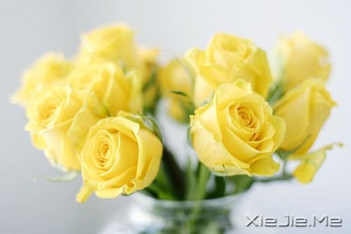 Zˣůİ (1)