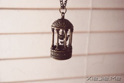 ZһЩӖ]kֻԼv^ŕ (2)