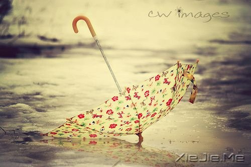 簲Z(y)eСңқ](mi)ô (3)