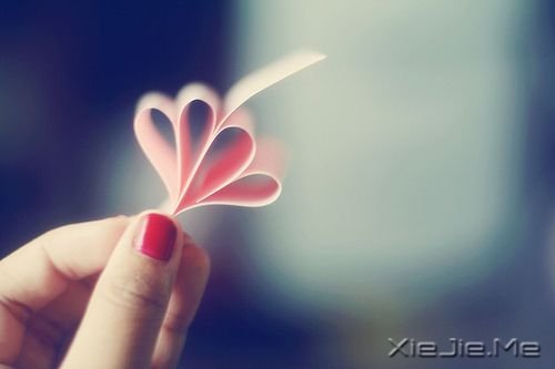ZҪˣҪ (11)
