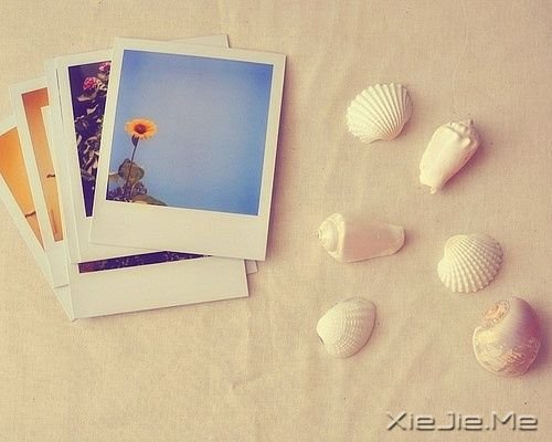 Zδ׃ֻ^҂׃øӈ(jin)(qing) (6)