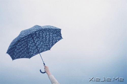 簲Z䌍(sh)҂߀ǲLĺ (8)