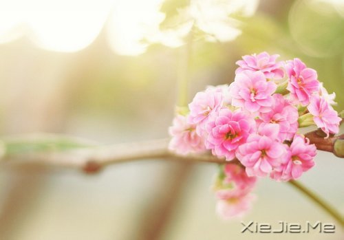 (jin)εϲgL(zhng)h(yun)ů