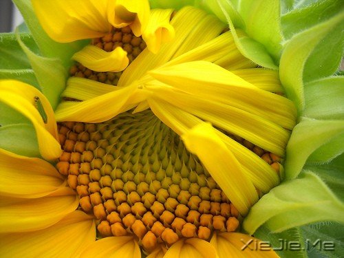 һ(g)ˣȥh(yun) (11)