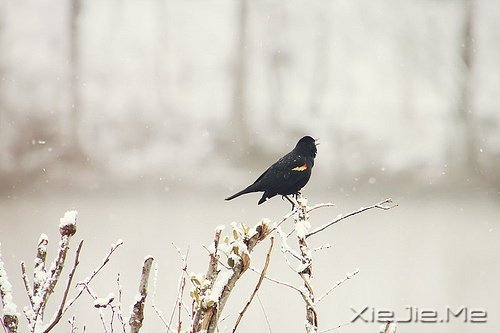 ֣Lζ (5)