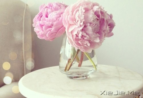 ҂?yu)ʲôL(zhng)