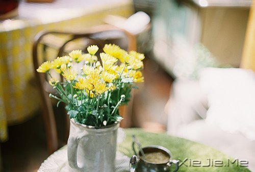 Լϲgӣ (5)