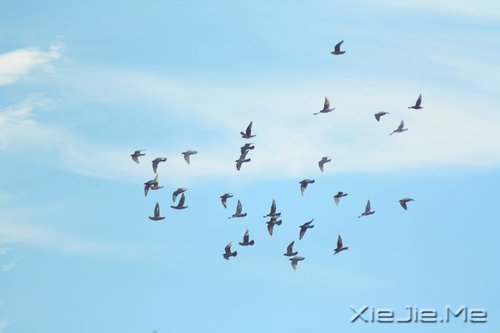 ·ϵ10F(xin)ԽԽL