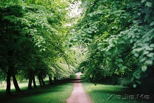 xģʽһĵȴɱ