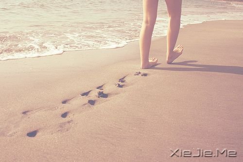 cexxx^ҵ