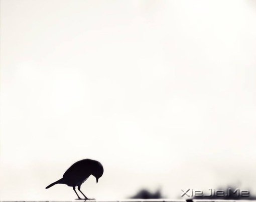֣Ё(li)ҪһØ(sh) (5)