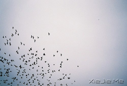 ֣Ё(li)ҪһØ(sh) (6)