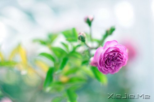 (jng)Z䛣ֻҪmԼҸ (4)