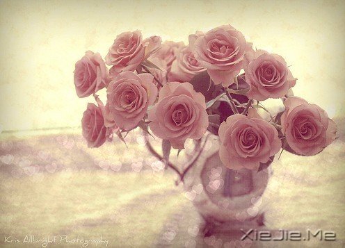 ֣ʲô^(gu)Ư£