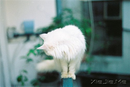 Ը㲻ٺ挦(du)֮ǰԼ