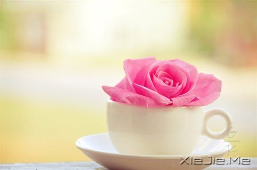 (jng)Z䛣҂Ҫֻһwo