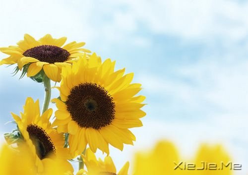 (jng)Z(y)䛣ȥ׃ֻԼ