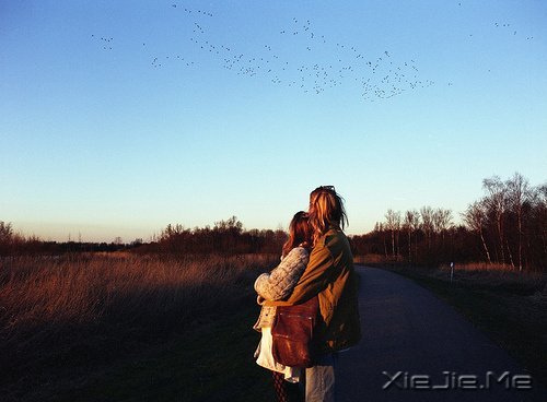 @ֻ^һ (10)