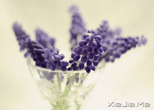 25lǻZ (1)